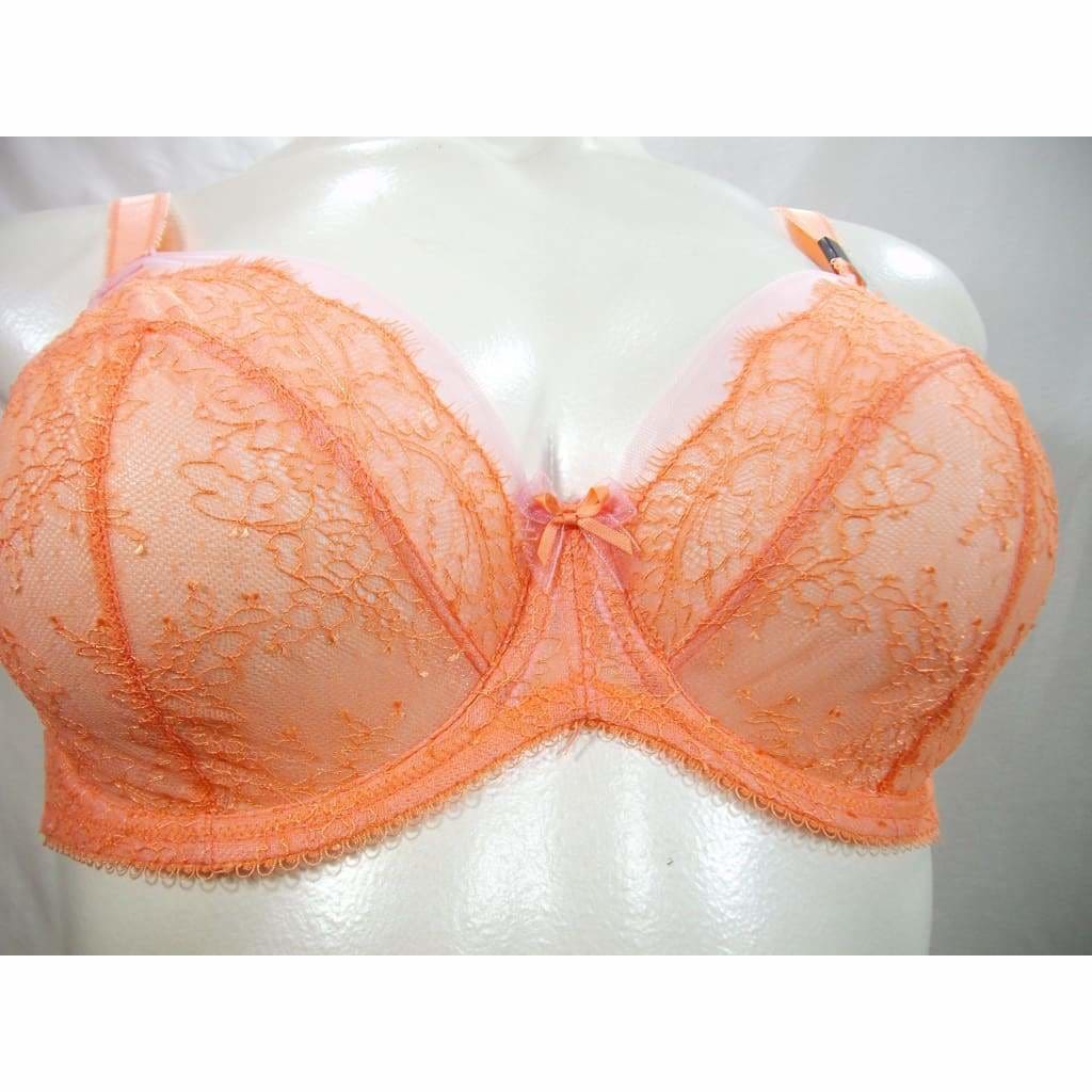 https://intimates-uncovered.com/cdn/shop/products/paramour-115014-by-felina-amber-unlined-lace-full-figure-uw-bra-40h-desert-flower-coral-bras-sets-intimates-uncovered_381_1024x1024@2x.jpg?v=1571518864