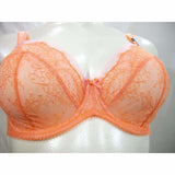 Paramour 115014 by Felina Amber Unlined Lace Full Figure UW Bra 42DDD Desert Flower Coral - Better Bath and Beauty
