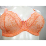 Paramour 115014 by Felina Amber Unlined Lace Full Figure UW Bra 42H Desert Flower Coral - Better Bath and Beauty