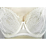 Paramour by Felina 115056 Amourette Unlined Lace Full Busted Underwire Bra 36D Ivory - Better Bath and Beauty